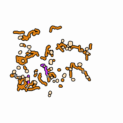 Export Image